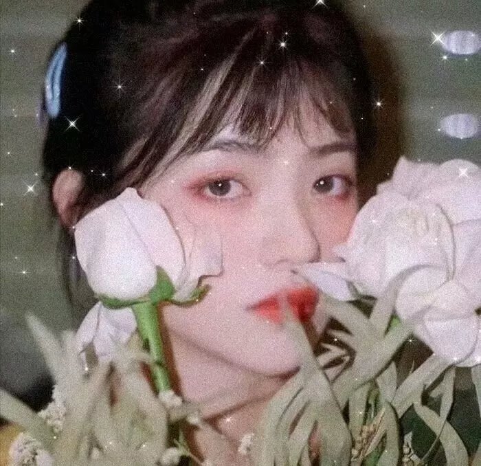 相逢何必曾相识