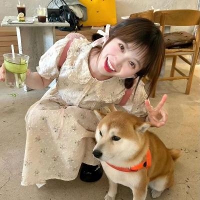 黄色之鸟